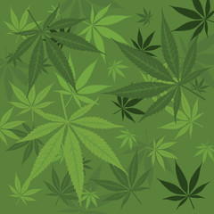 Canvas Print - Vector marijuana background