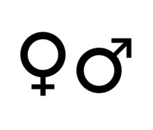 Genres Masculin Et Féminin
