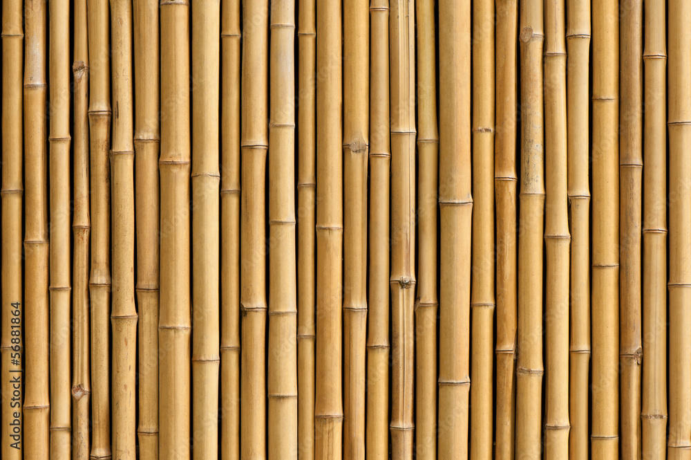 bamboo fence background - obrazy, fototapety, plakaty 