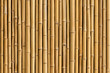 canvas print picture - bamboo fence background