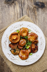 Canvas Print - Saffron milk cap mushrooms