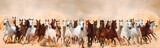 Fototapeta Panele - Horses herd running in the sand storm