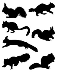 Black silhouettes of squirrels-vector