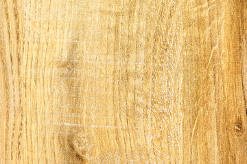 Wall Mural - Pattern of wood - can be used as background