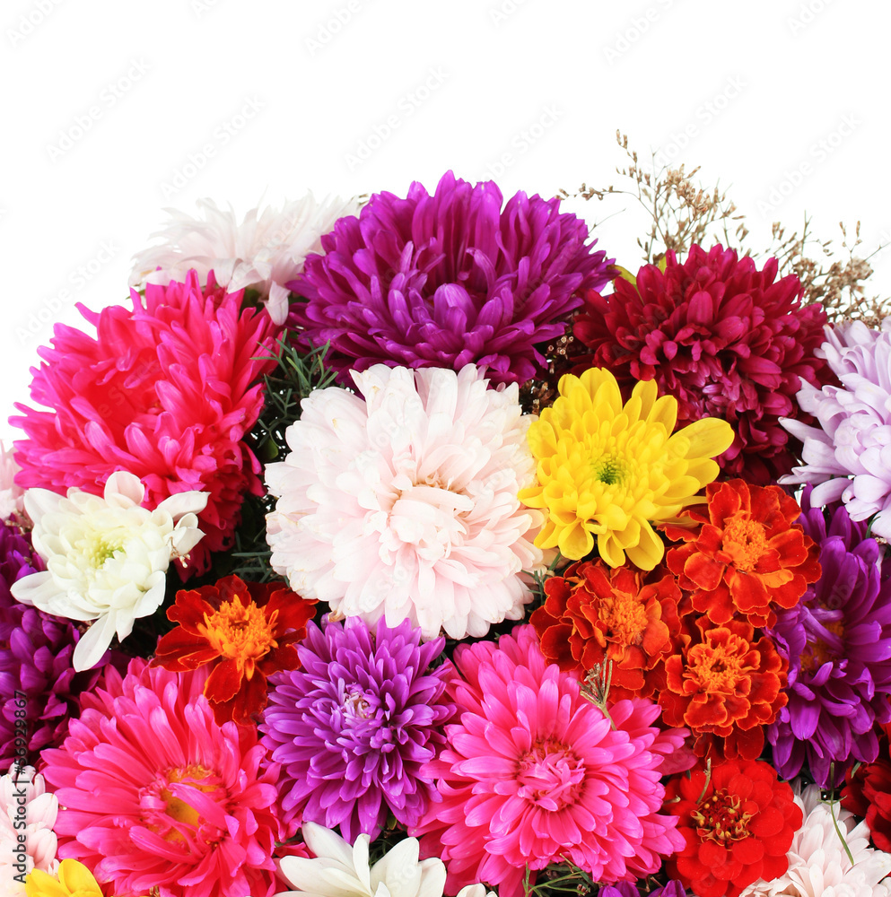 Beautiful bouquet of chrysanthemums on white background
