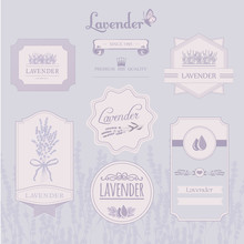 Lavender Background, Product Label Packaging Design