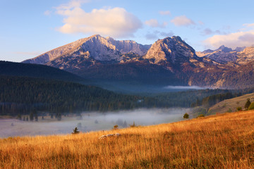 Wall Mural - durmitor national park on a misty morning