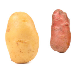 Wall Mural - Two different fresh potatoes.