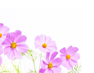 floral frame