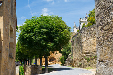 Wall Mural - Castle Montfort