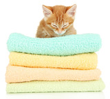 Fototapeta Koty - Cute little red kitten on towels isolated on white