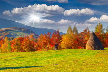 Wall Mural - Colorful autumn landscape in the mountains