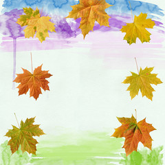 Wall Mural - leaf maple  on background watercolor