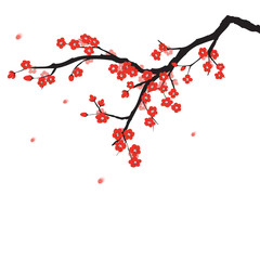 Plum blossom in Chinese painting style