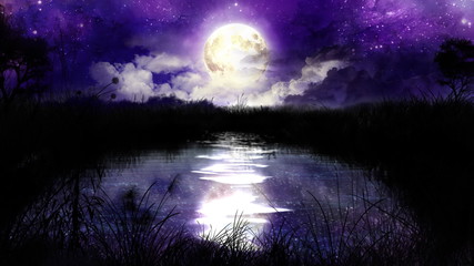 magic night over the pond 100% loop hd1080p