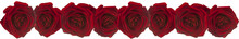 Ribbon Of Red Roses