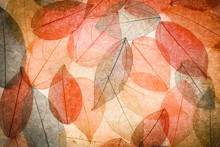 Abstract Autumn Background