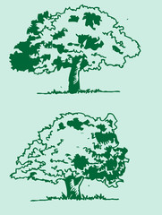 Poster - Vector trees with leaves   black silhouettes