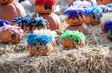 Painted Mini Pumpkins Free Stock Photo - Public Domain Pictures
