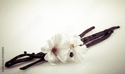 Naklejka dekoracyjna Vanilla Bean And Flower
