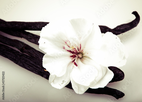 Fototapeta na wymiar Laseczki wanilii z kwiatami