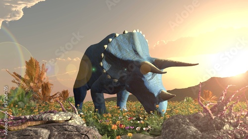 Fotoboard na płycie Triceratops dinozaurów