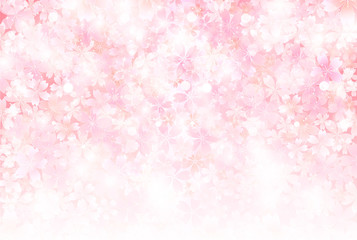 Wall Mural - 桜　背景　年賀状