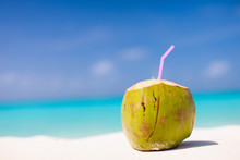 Coconut On A Tropical Beach