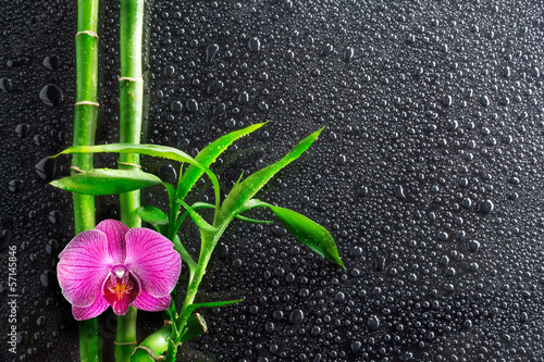 Naklejka na szybę spa background - drops, orchid and bamboo on black