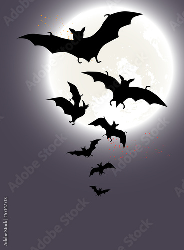 Obraz na płótnie canvas Tło halloween z pełni księżyca i nietoperzy