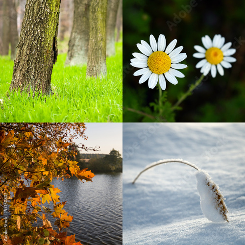 Four season. All used photos belong to me. Poster