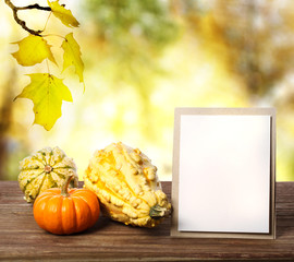 Wall Mural - squashes and greeting card