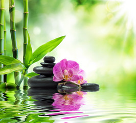 Fotomurales - Background spa - orchids black stones and bamboo on water