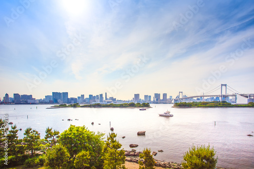 Board z aluminiowym obramowaniem Tokio skyline, tęczowy most i zatokę odaiba. 