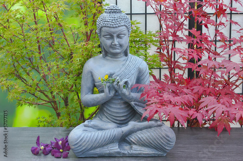 Board z aluminiowym obramowaniem Budda