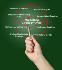 Poster - Marketing strategy cycle