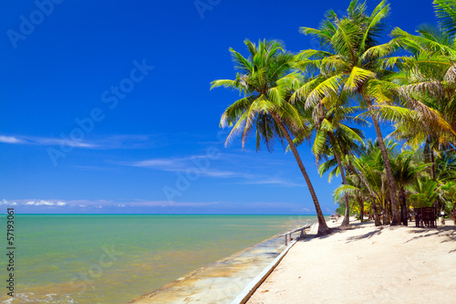 Plakat na papierze fotorealistycznym Piękna tropikalna plaża z kokosowym drzewkiem palmowym w Thailand