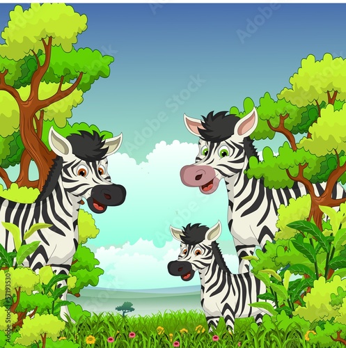 Obraz na płótnie canvas trzyczęściowy "tryptyk" Rodzina zebra kreskówka z lasowym tłem