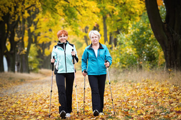 Nordic walking