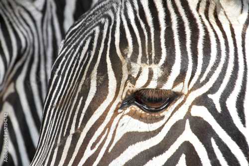 Board z aluminiowym obramowaniem Zebra.