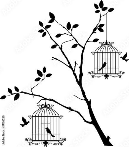 Obraz w ramie tree silhouette with birds flying and bird in a cage