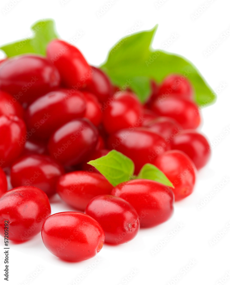 Fresh cornel berries isolated on white