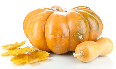 Ripe pumpkins with autumn foliage isolated on white