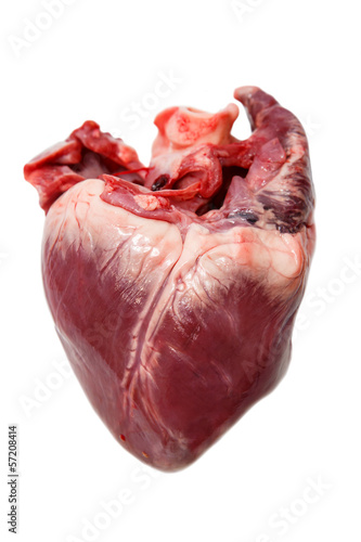 Naklejka - mata magnetyczna na lodówkę Raw pork heart isolated on a white background