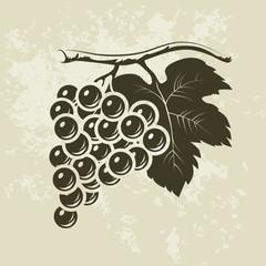 Poster - Bunch of grapes for labels of wine