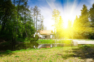 Wall Mural - house in forest