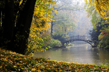 Poster - Autumn - Old bridge in autumn misty park