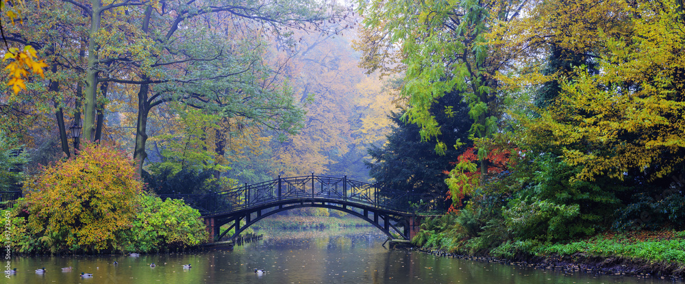 Autumn - Old bridge in autumn misty park - obrazy, fototapety, plakaty 