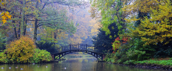 Wall Mural - Autumn - Old bridge in autumn misty park