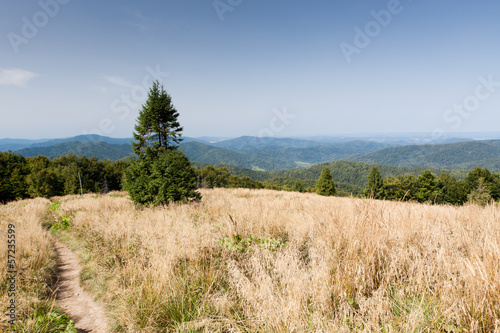Naklejka samoprzylepna Bieszczady w południowo-wschodniej Polsce